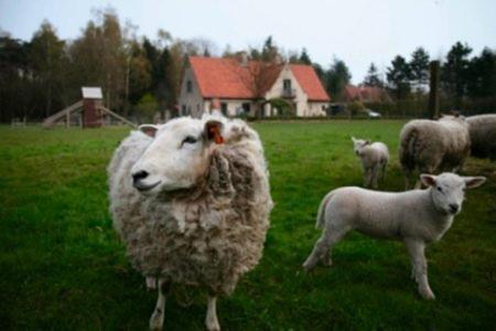 B&B Heerlijkhyd Hertsberge Екстериор снимка